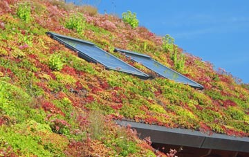 Goferydd living roof systems